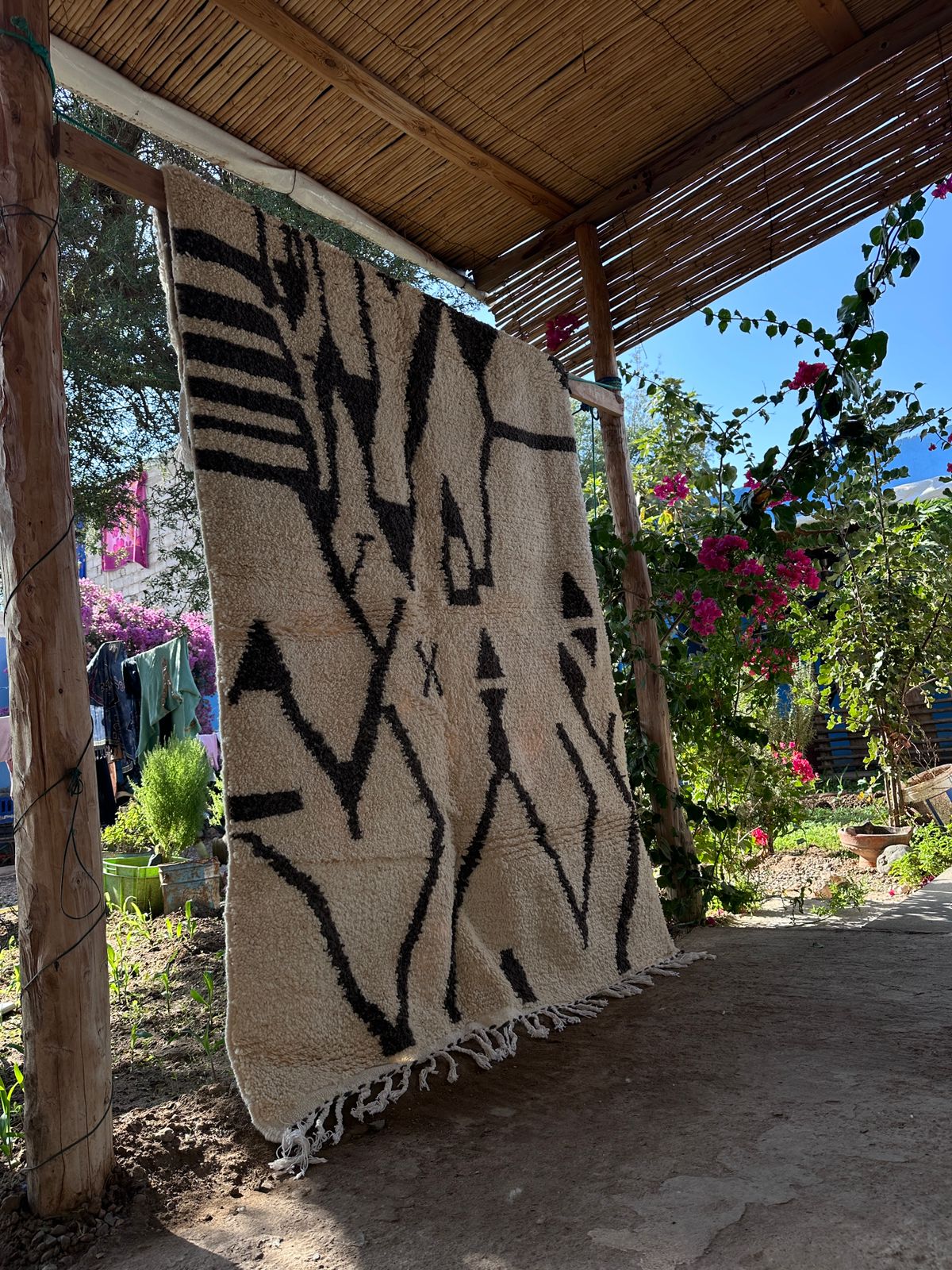 Desert Queen 1 - Disponible